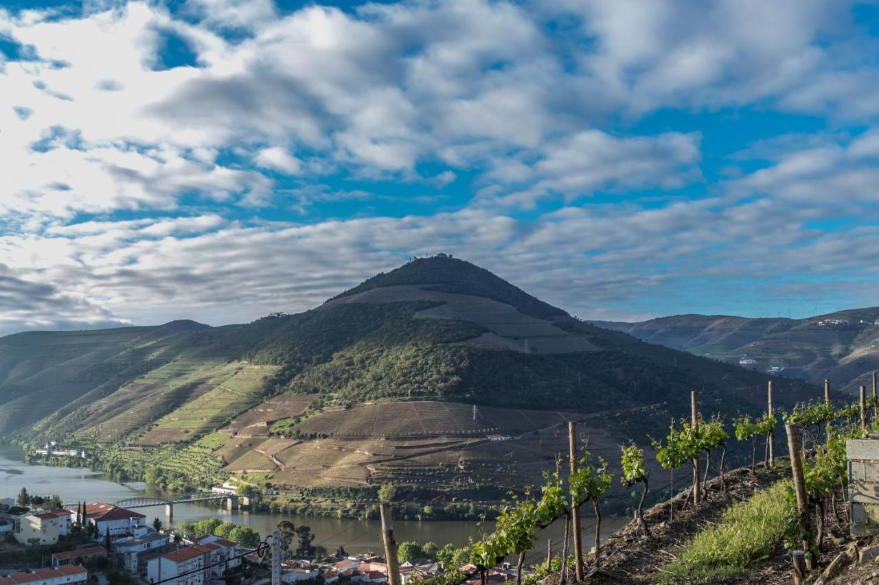 Dois Lagares House Bed & Breakfast Pinhão Dış mekan fotoğraf