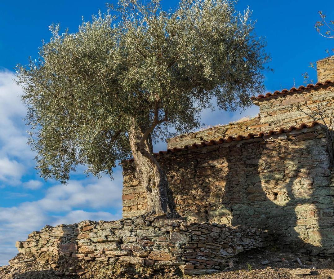 Dois Lagares House Bed & Breakfast Pinhão Dış mekan fotoğraf