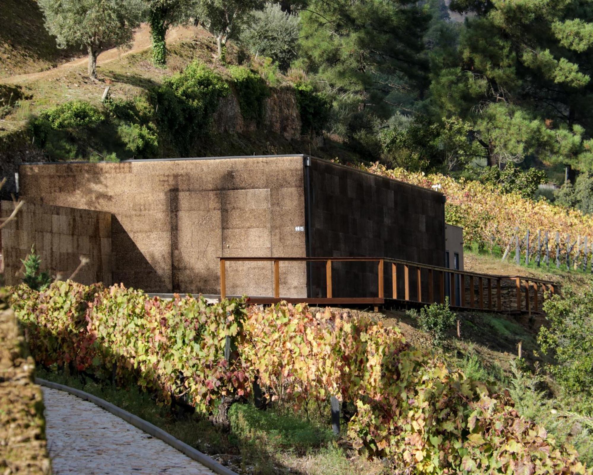 Dois Lagares House Bed & Breakfast Pinhão Dış mekan fotoğraf