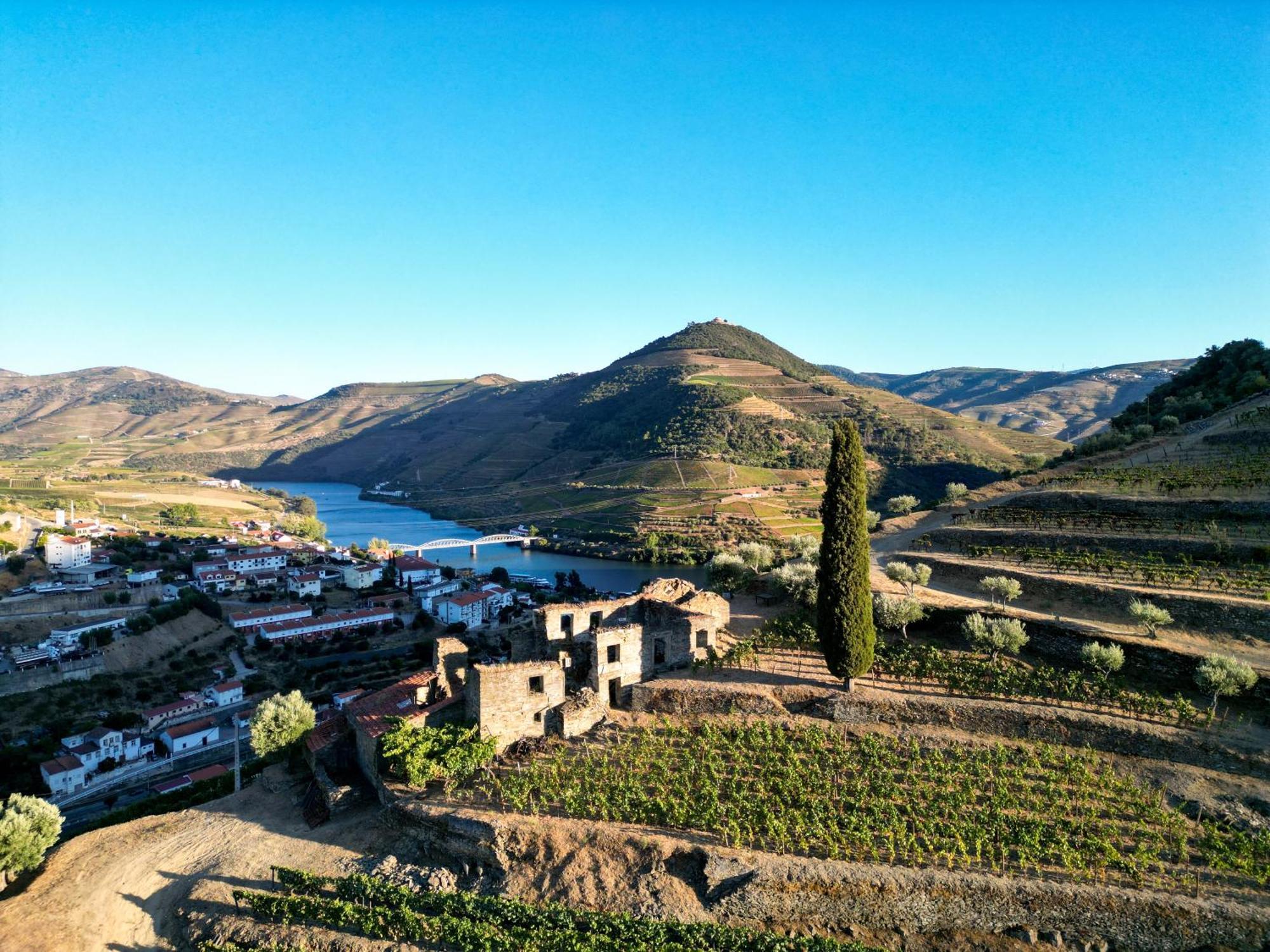 Dois Lagares House Bed & Breakfast Pinhão Dış mekan fotoğraf